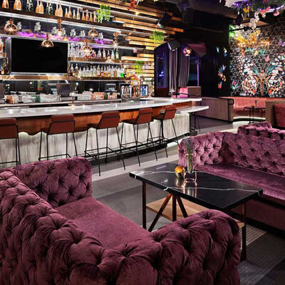 İyi fiyat Velvet Purple Club Lounge Sofa Classic Button Tufting Bistro Sofa çevrimiçi